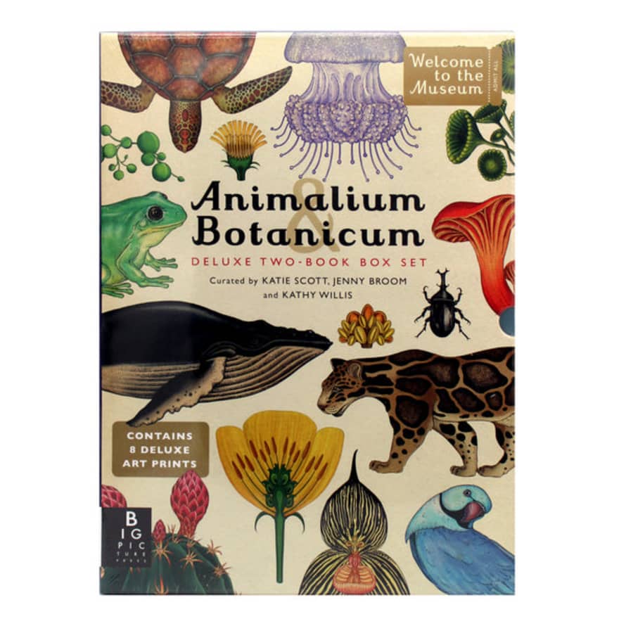 Big Picture Press Animalium Botanicum Box Set