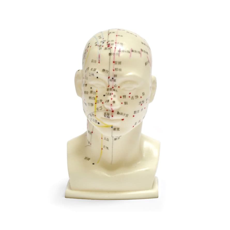 Fantastik Chinese Acupuncture Head