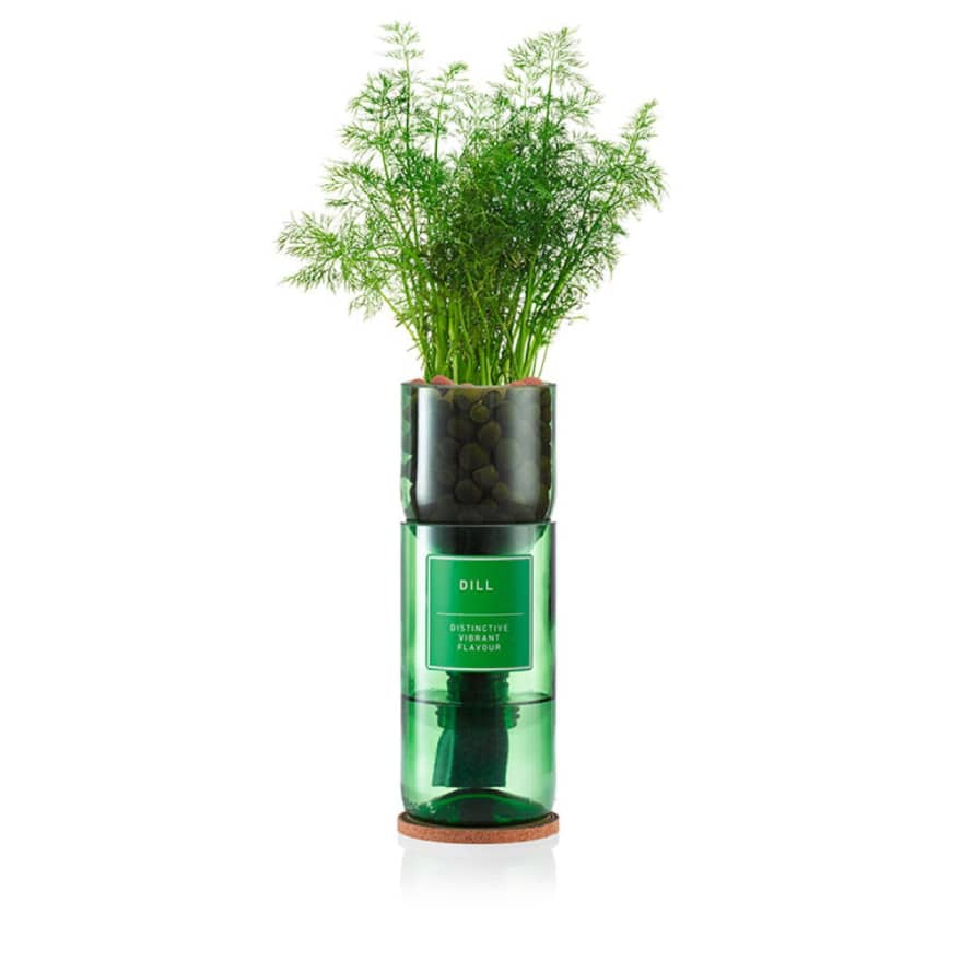 Hydro Herb Dill Hydro Herb Kit