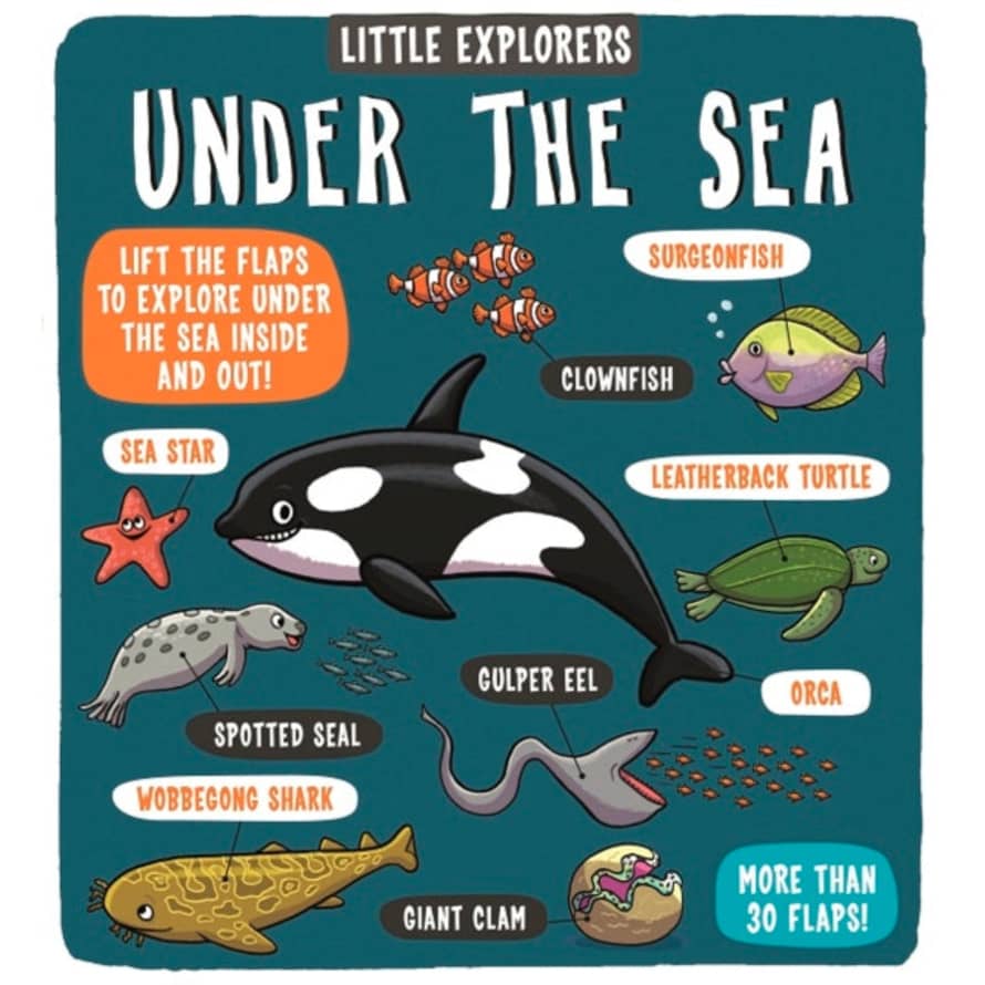 Bookspeed Little Explorers: Under The Sea