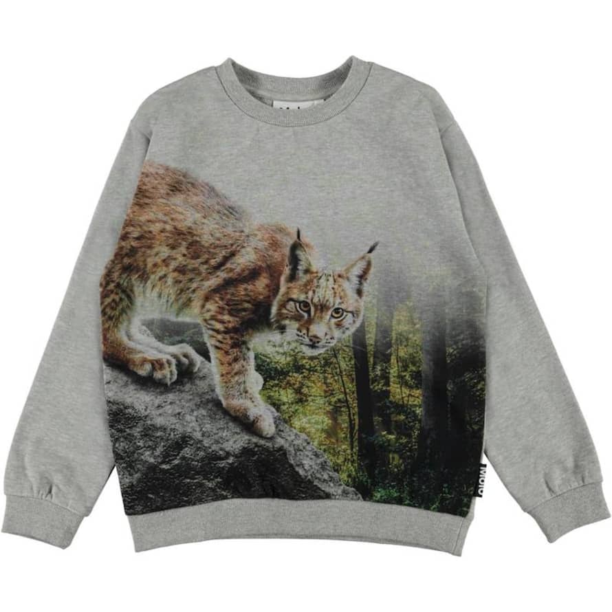 Molo Grey Lynx Miksi Sweater
