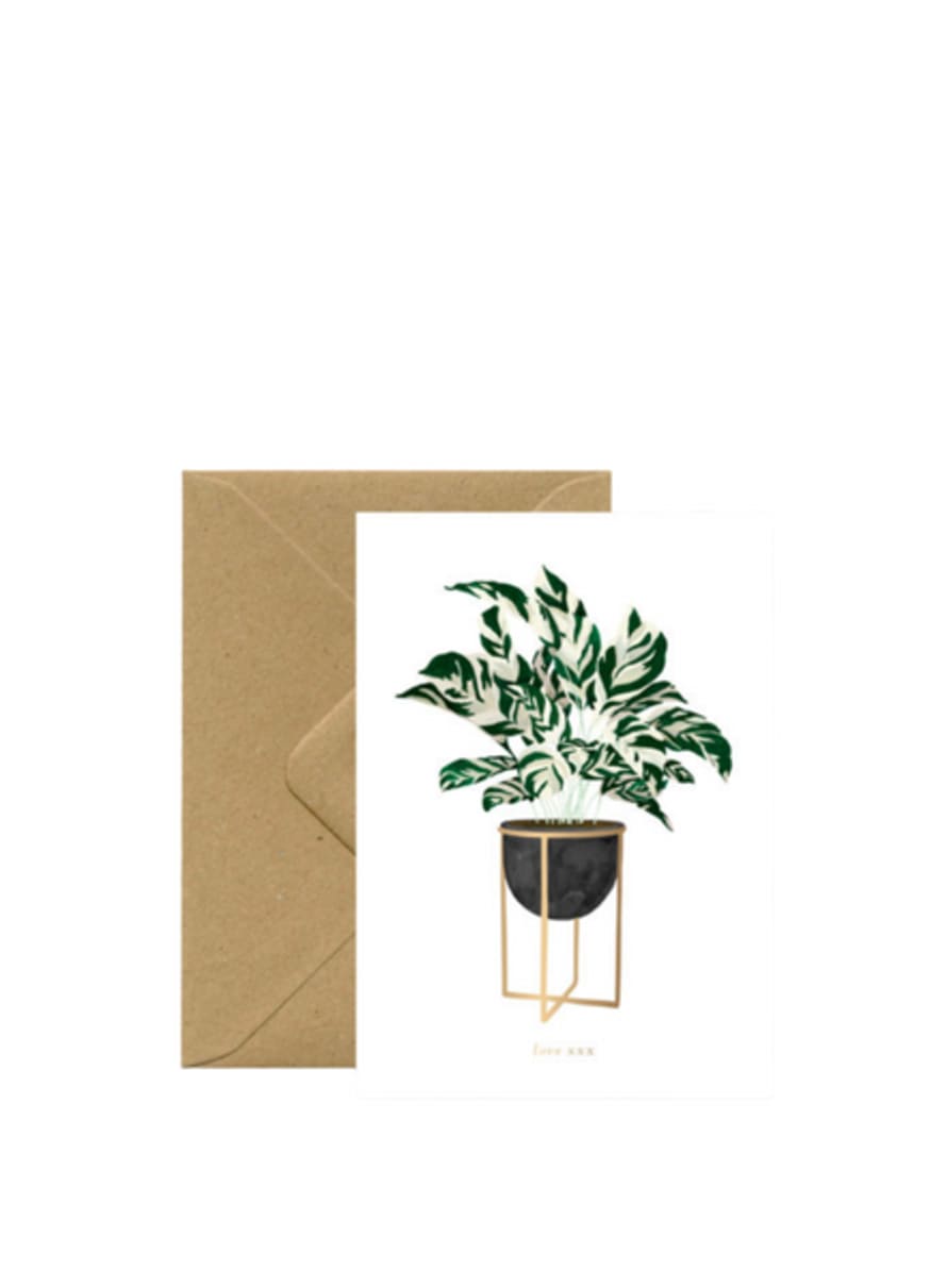 All The Ways To Say Calathea Plant Card