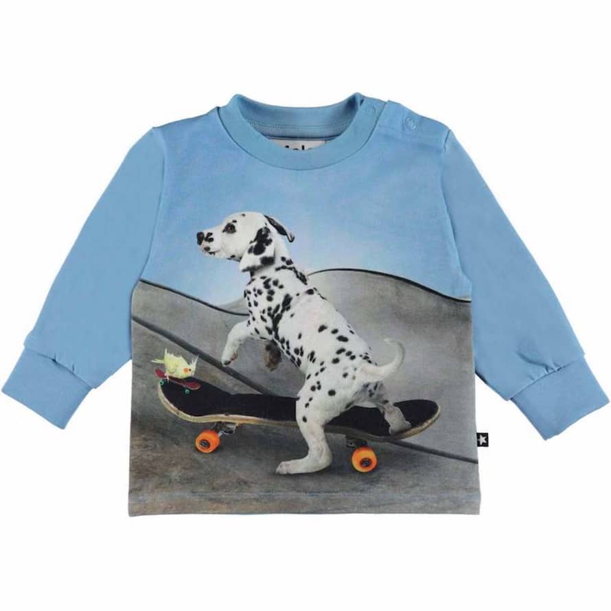 Molo Light Blue Skate Puppy Eloy Top
