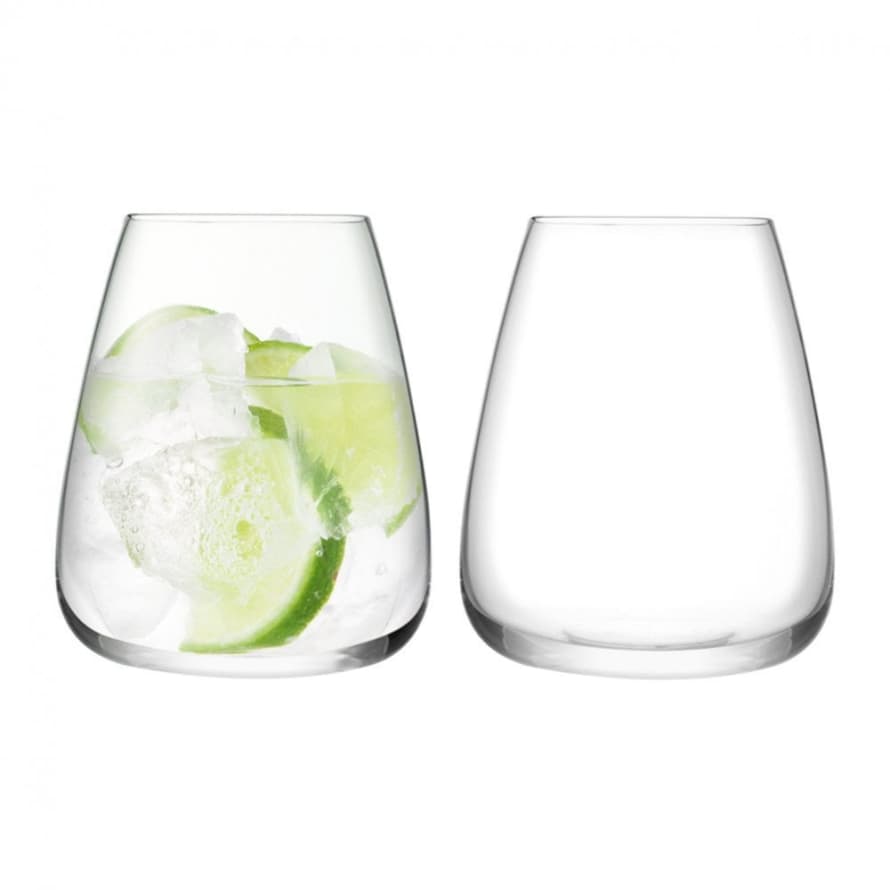 LSA International Set of 2 Wine Culture Water Glasses