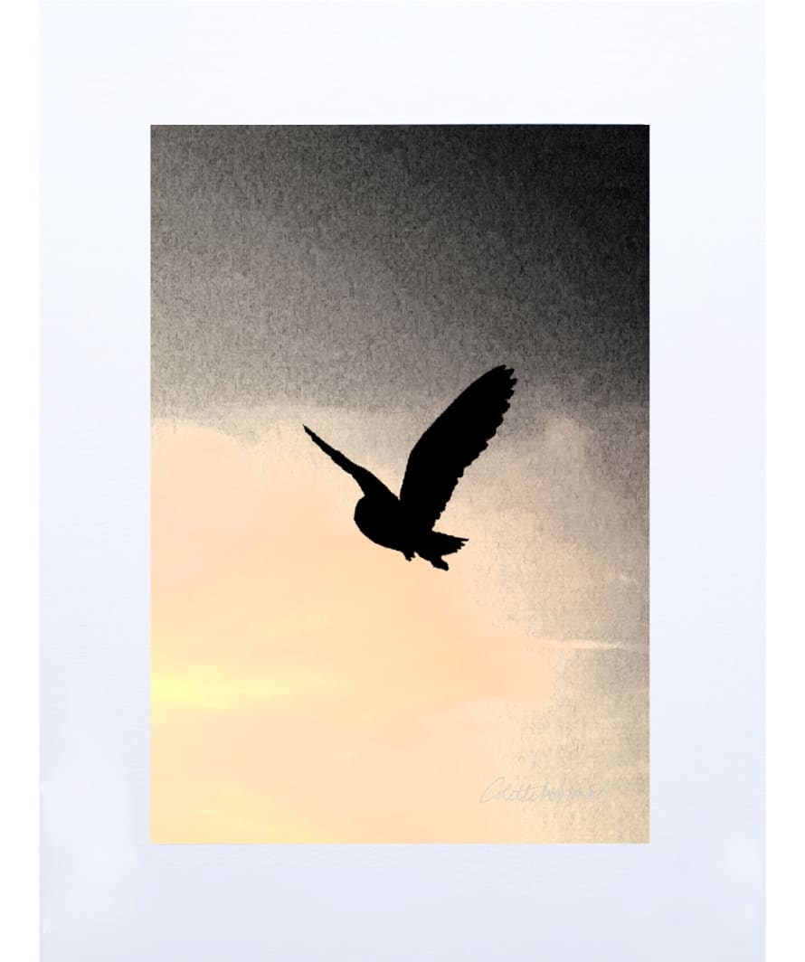 Canvasbutterfly Owl Art Print - Toulouse Night Sky