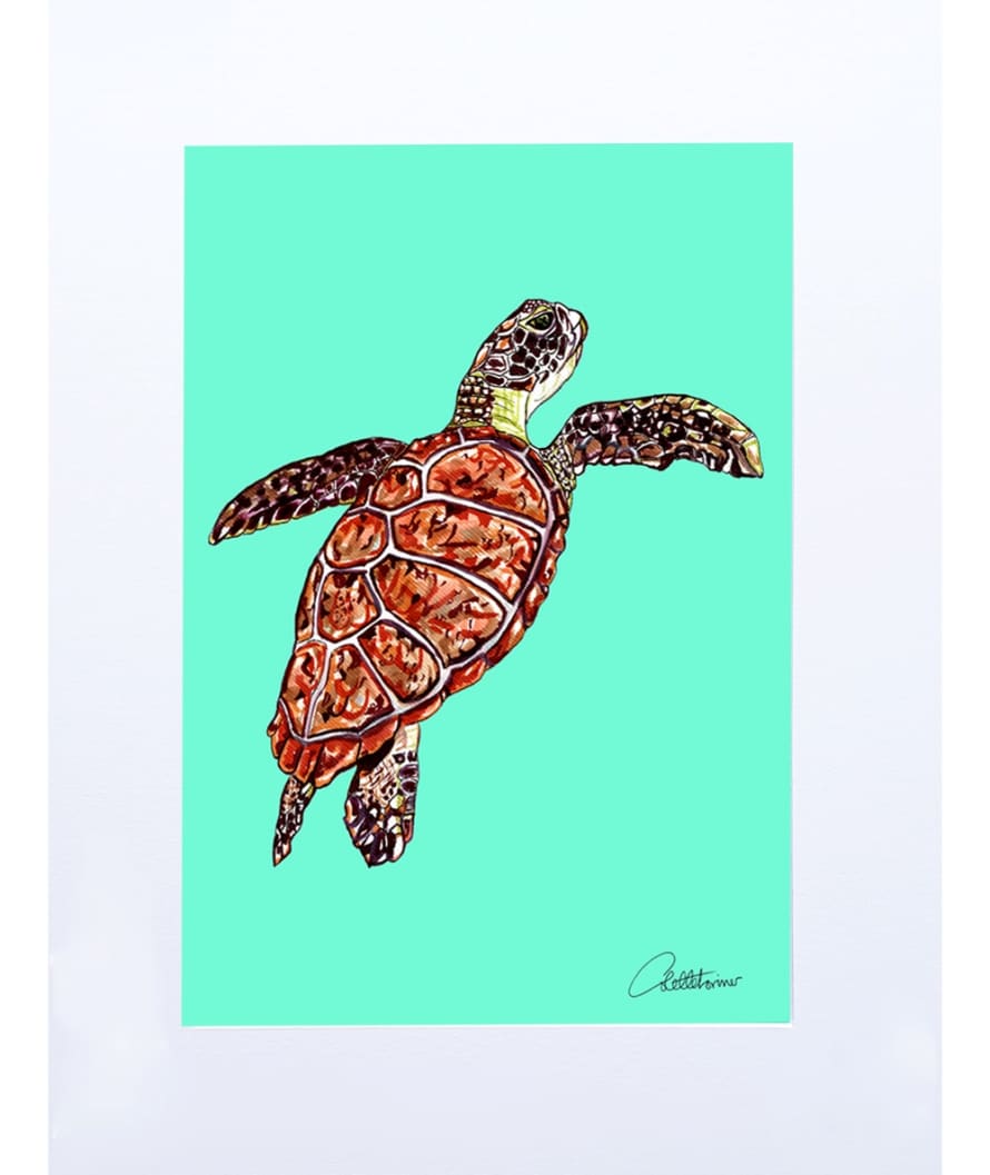 Canvasbutterfly Green Sea Turtle Art Print