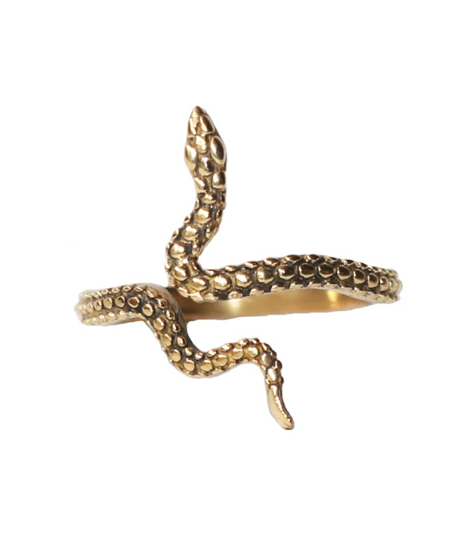 Urbiana Adjustable Snake Ring