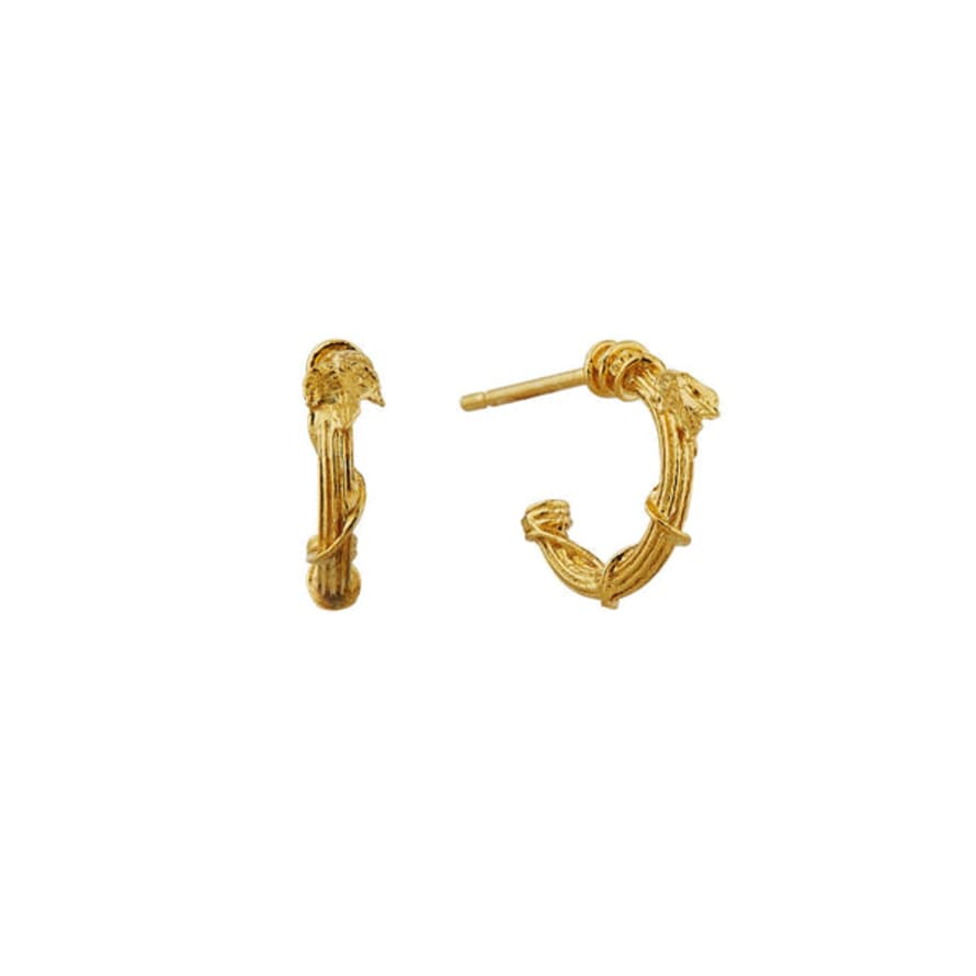 Alex Monroe Overgrown Column Mini Hoop Earrings Gold