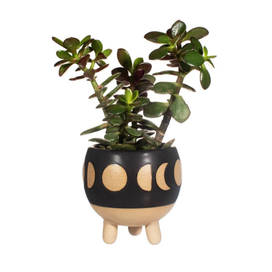 Sass & Belle  Moon Phases Planter