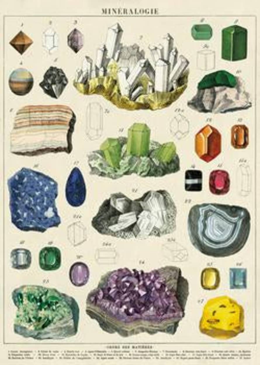 Cavallini & Co Mineralogy Poster