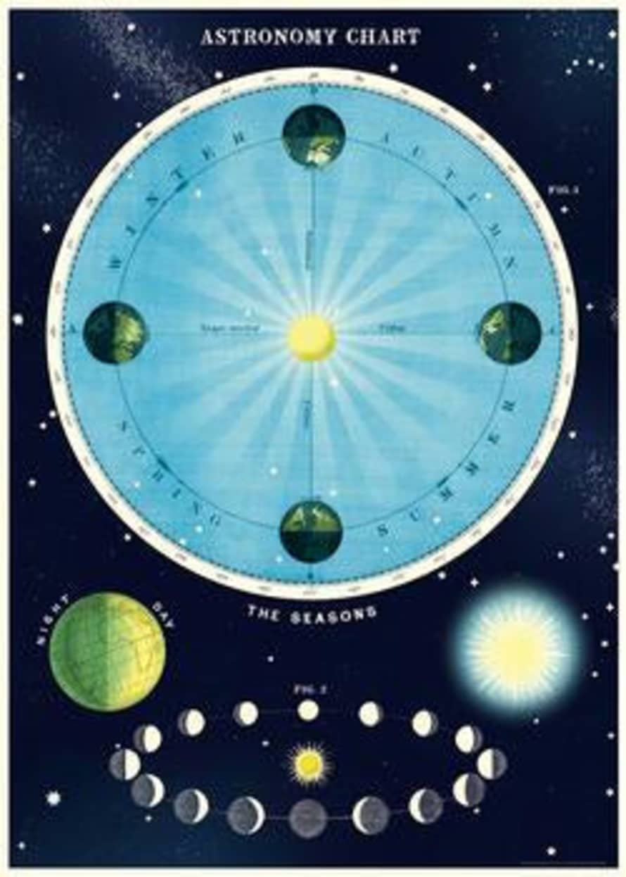 Cavallini & Co Astronomy Poster