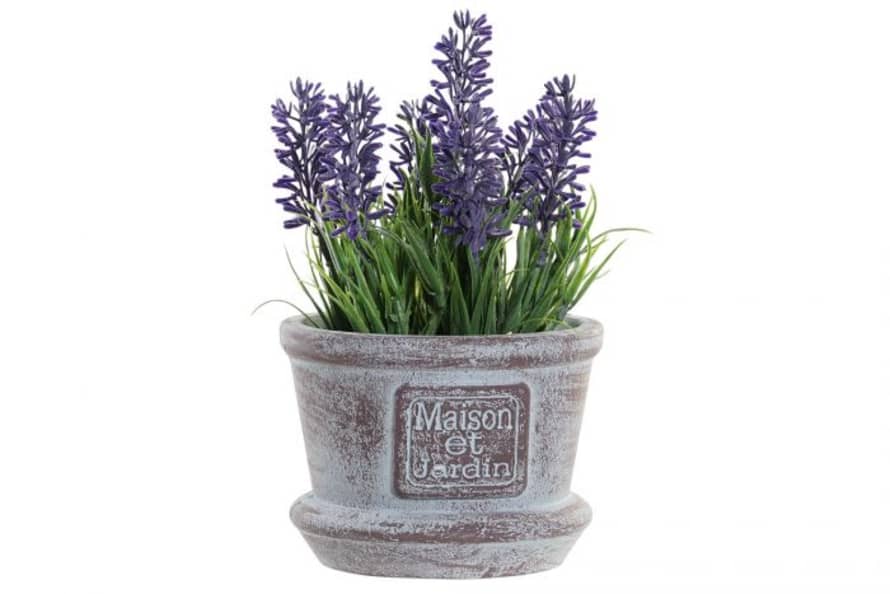 Made in Charme Lavender Lilac Potted Plant