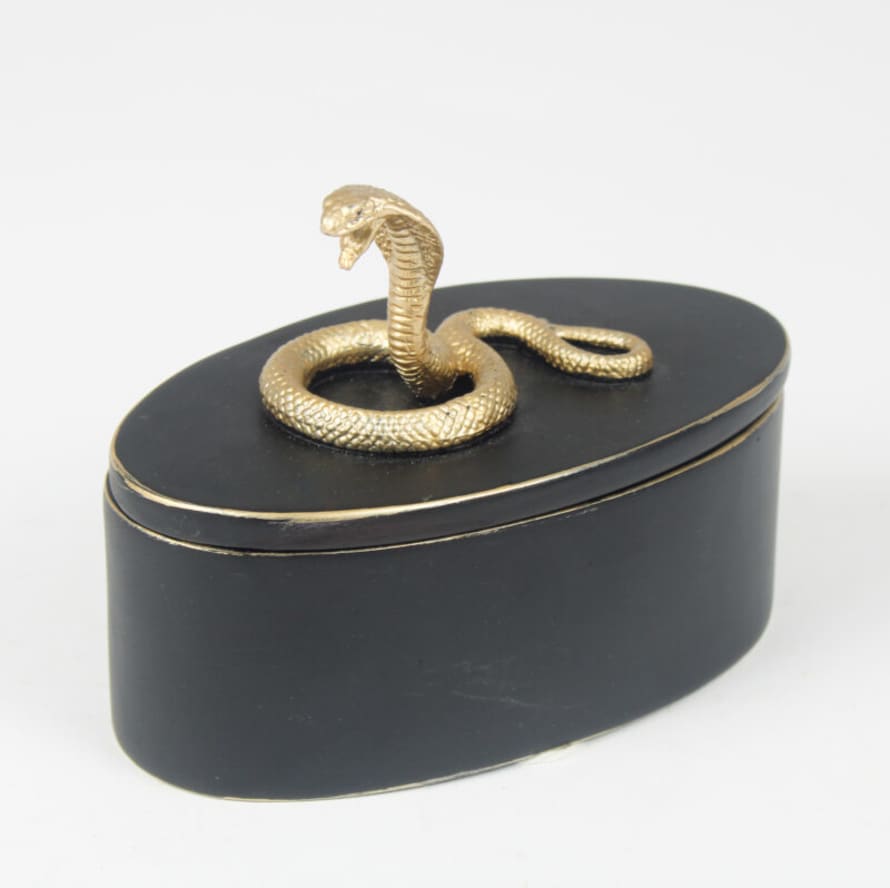&Quirky Gold Cobra Snake Black Oval Trinket Box