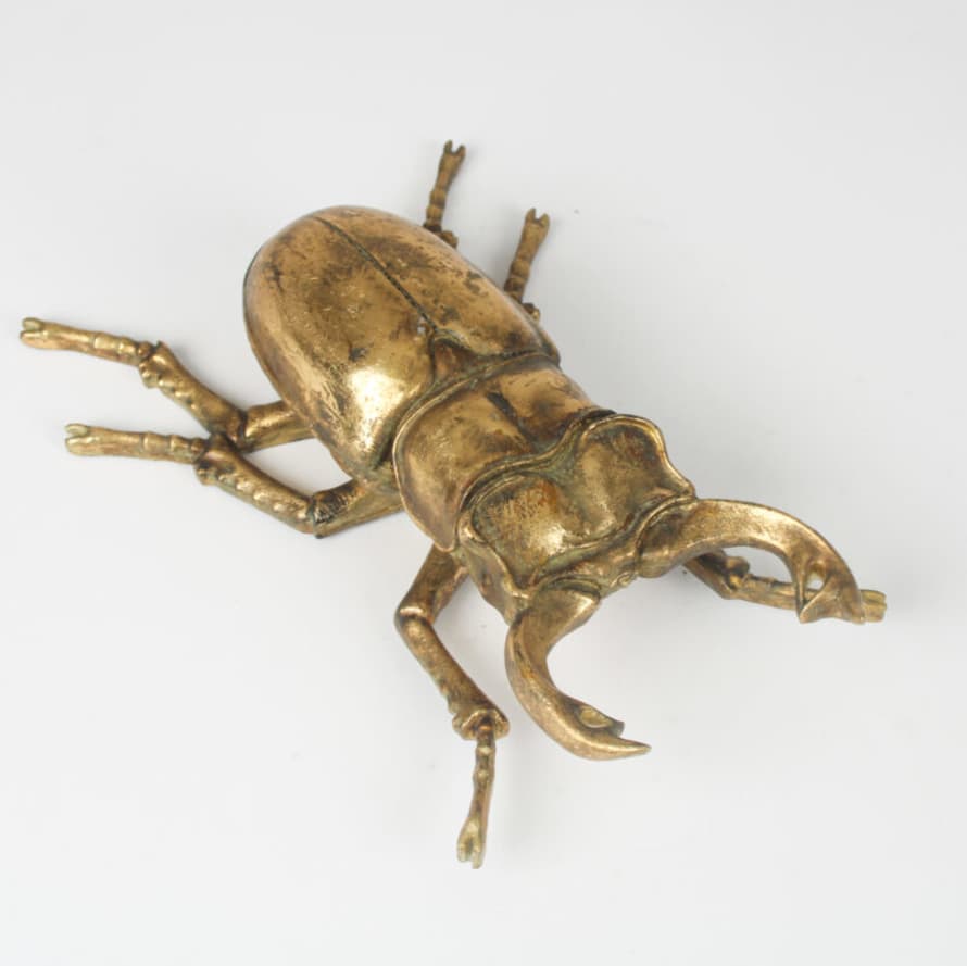 &Quirky Large Stag Beetle Gold Wall Decoration