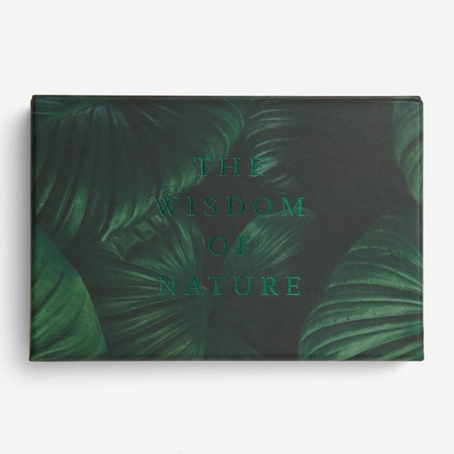 The School of Life Wisdom Of Nature Card Game