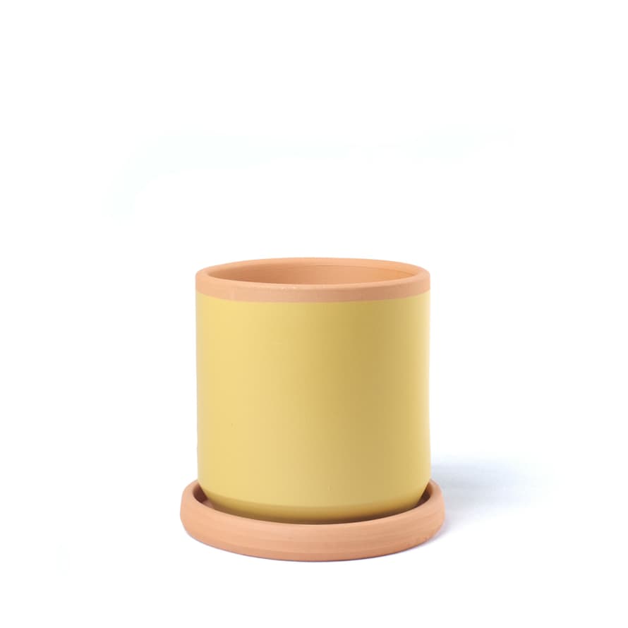 casa atlantica Terracotta Pot Mustard XS with saucer