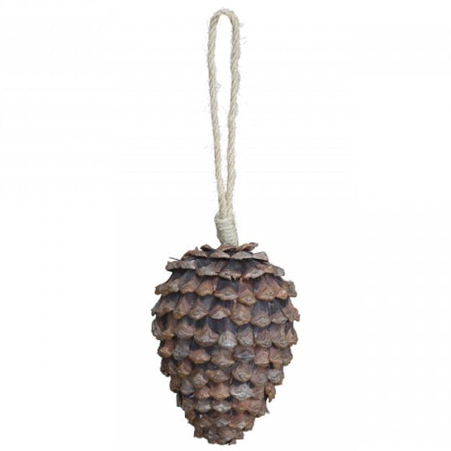 TUSKcollection Natural Giant Cone Handing Decoration