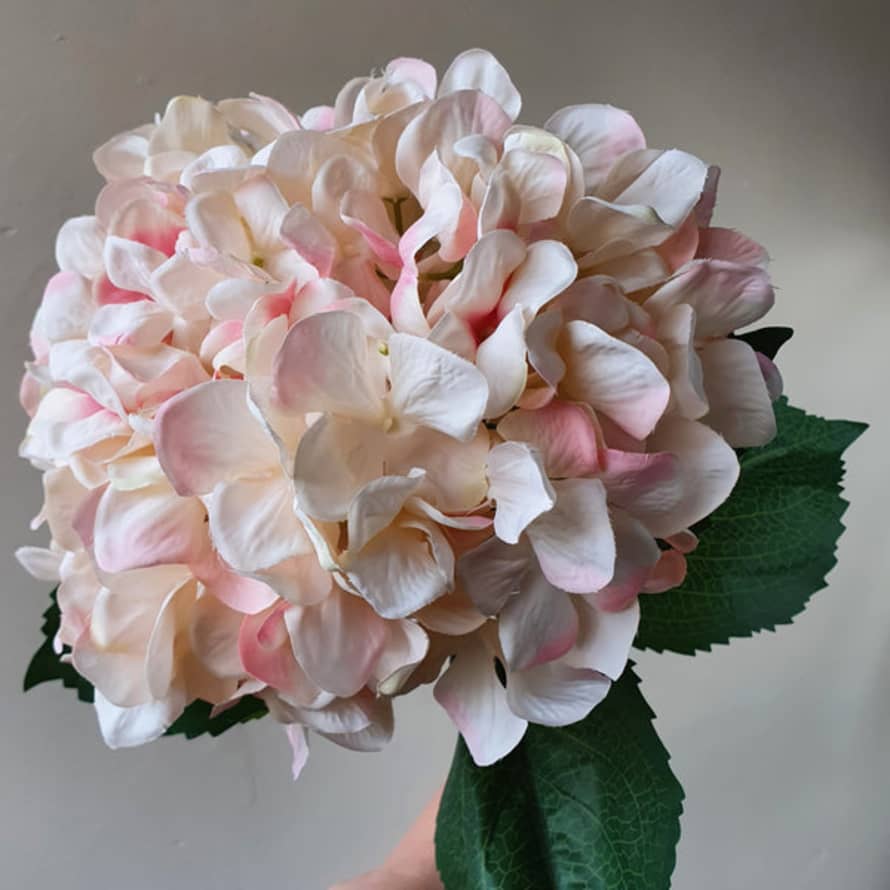 livs Giant Hydrangea Stem - Blush Pink