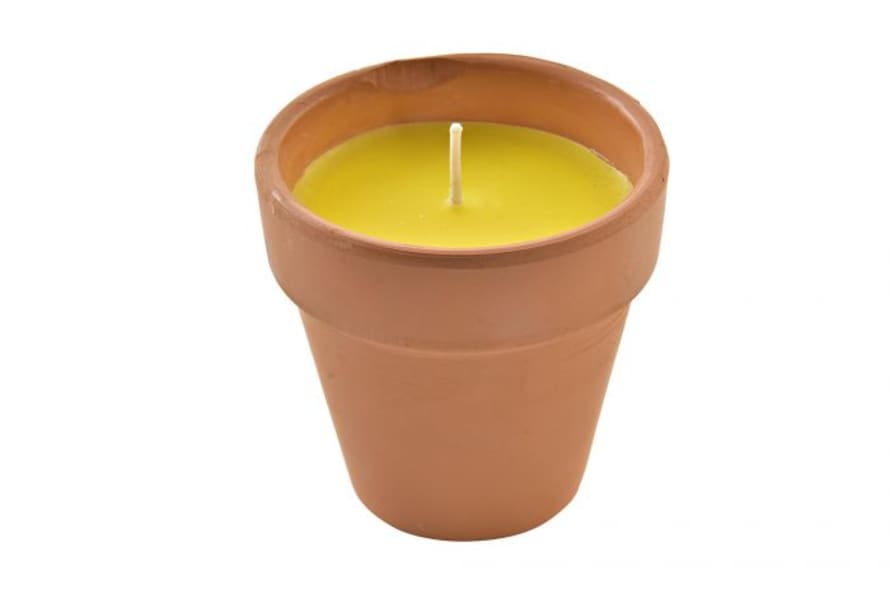 ITEM INTERNATIONAL Citronella Candle in Terracotta Pot