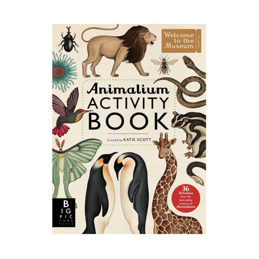 Katie Scott Animalium Activity Book
