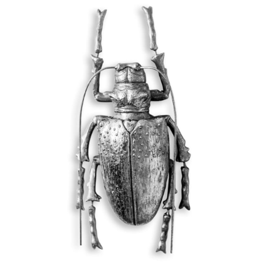 &Quirky Large Silver Beetle Wall Decoration