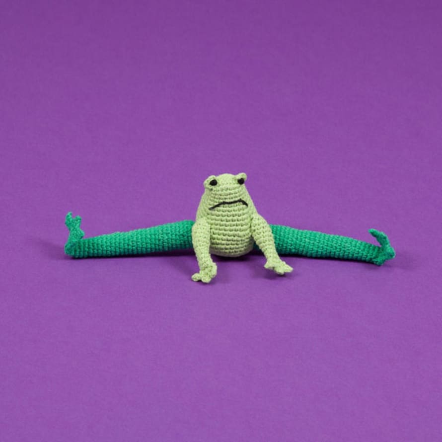 Ware of the Dog Frog Dog Toy