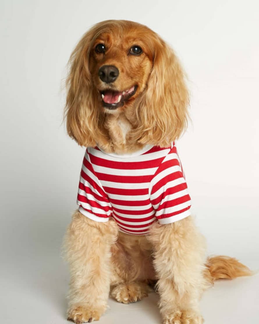 The Painter's Wife David Organic Cotton Dog T-shirt In Red