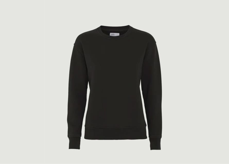Colorful Standard Classic Sweater In Organic Cotton