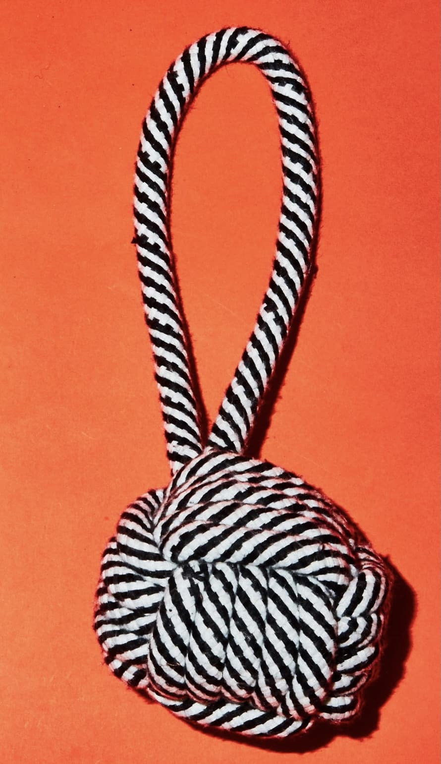 Ware of the Dog Large Black and White Rope Knot Toy