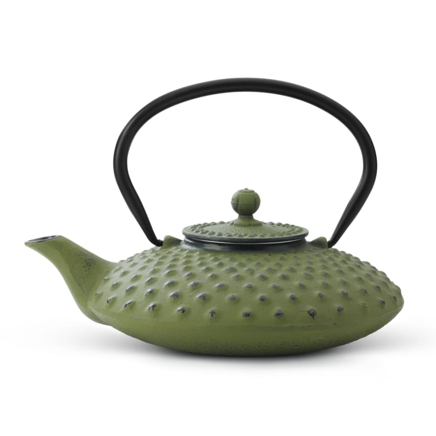 Bredemeijer Bredemeijer Teapot Xilin Design Cast Iron 0.8l In Green