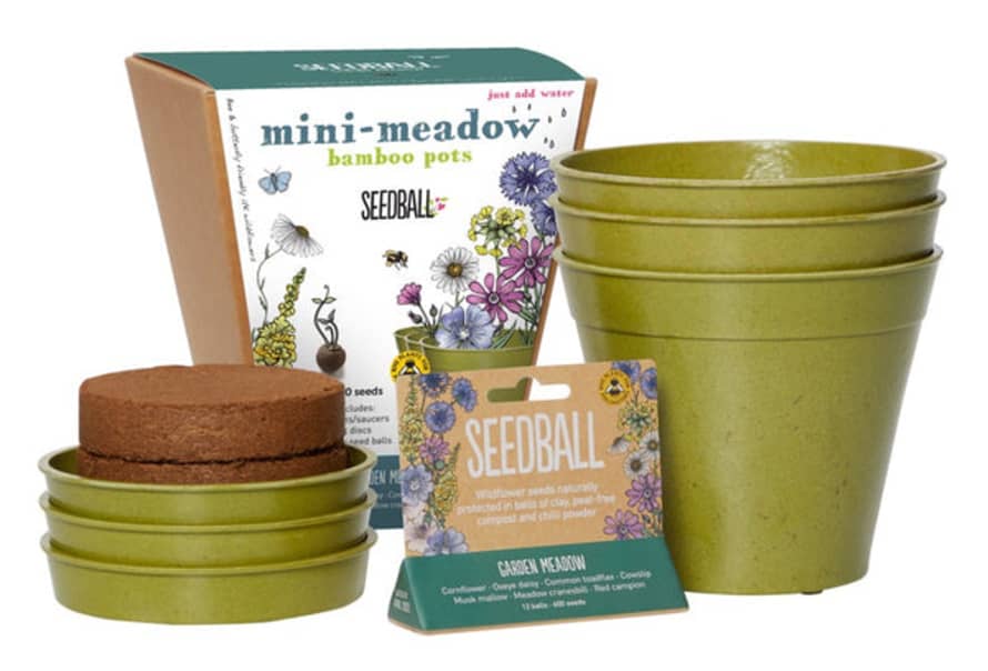 seedball Mini Meadow Bamboo Pots
