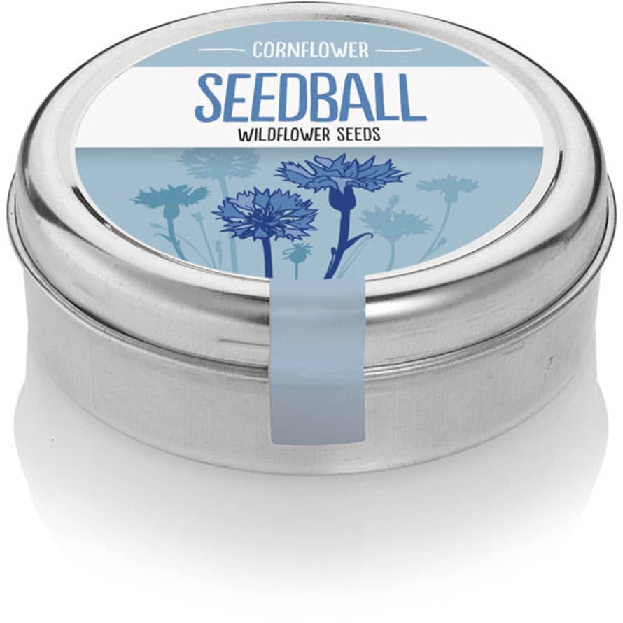 seedball - Cornflower