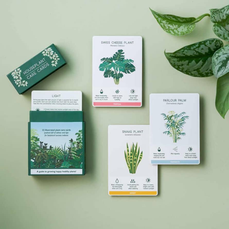 Another Studio  Houseplant Care Cards
