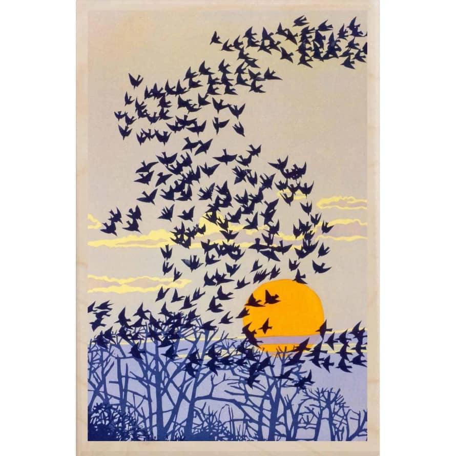 The Wooden Postcard Company Starling Murmuration Wooden Postcard