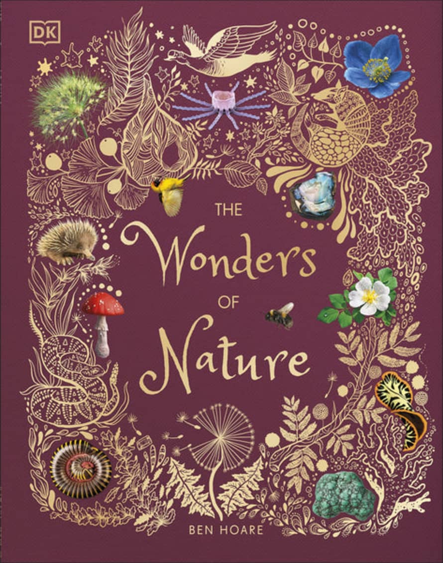 DK CHILDREN The Wonders Of Nature Book