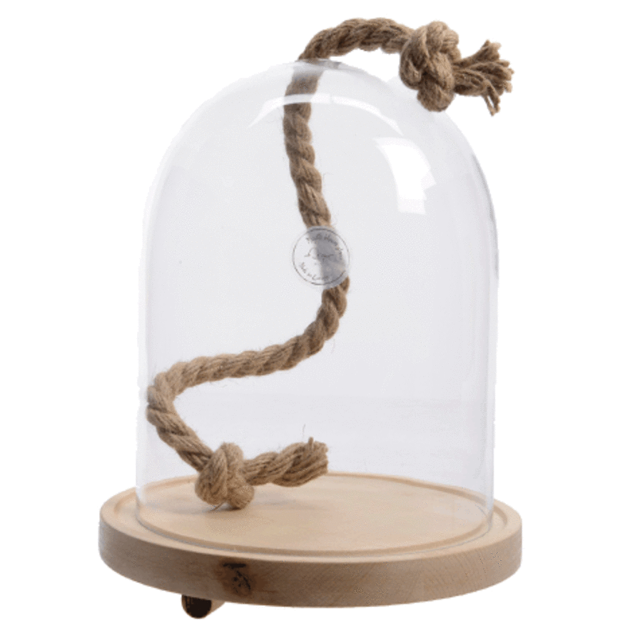 Foimpex Glass Bell with Rope and Wooden Base