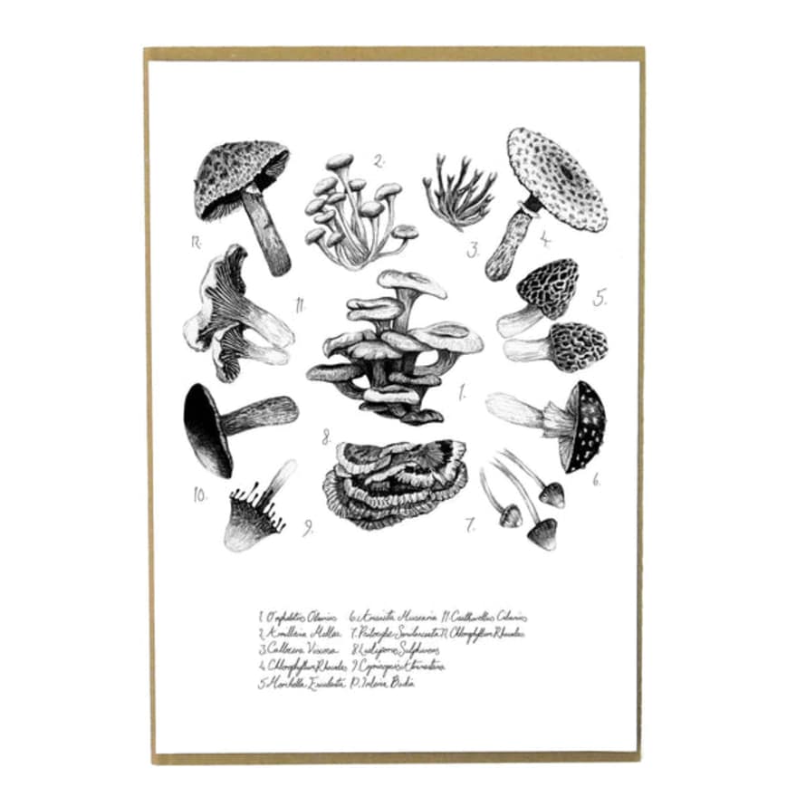 Also The Bison Mushroom & Toadstool Monochrome A4 Art Print
