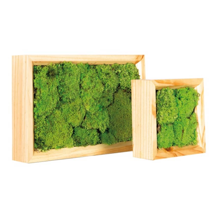 Joca Home Concept 15cm x 15cm Preserved Moss Frame 