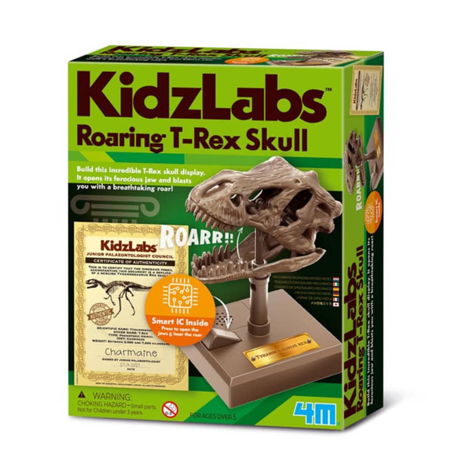 Dam (3399) Kidzlab - Roaring R-rex Skull