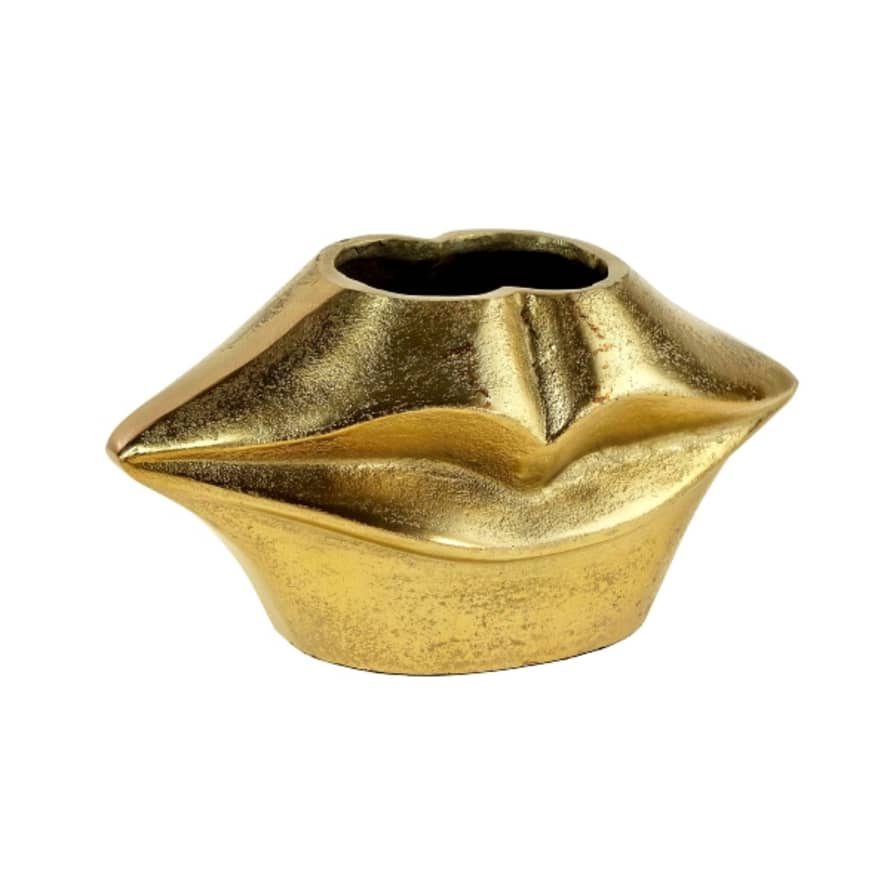 &Quirky Gold Metal Short Lips Vase