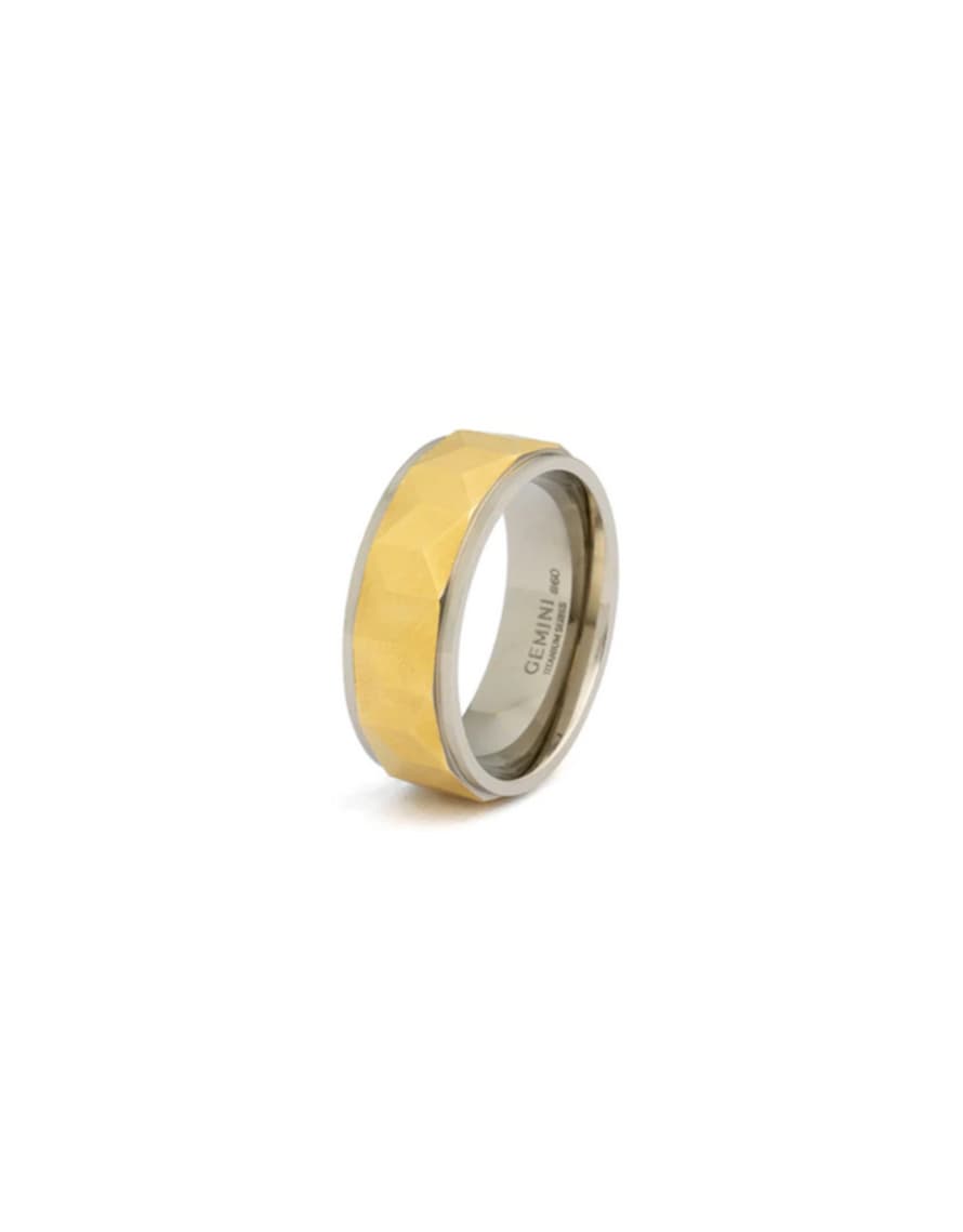 Gemini Silver and Gold Timor Ring