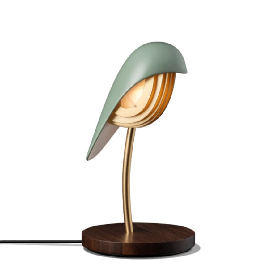Daqi concept Bird Lamp (6 variants)
