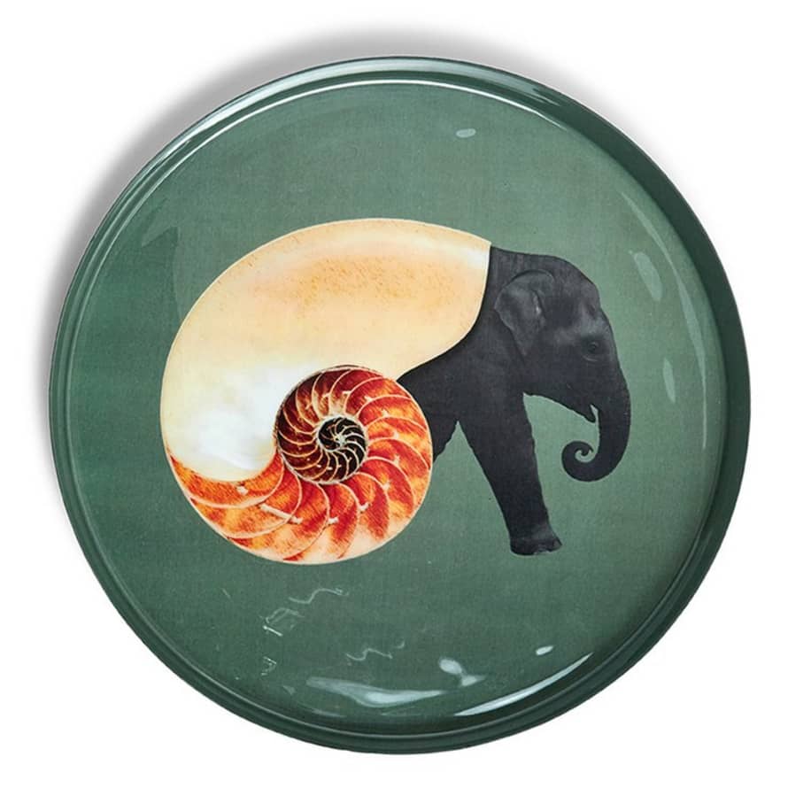 Gangzai Shellephant Tray Round