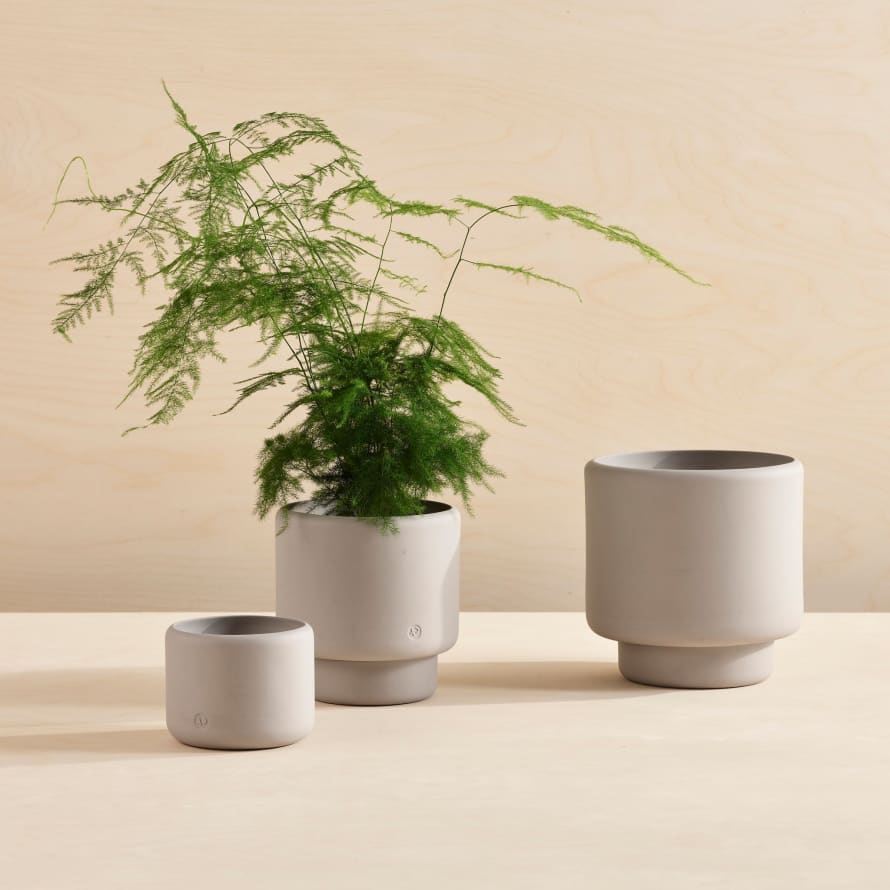 Aaron Probyn Botany Plant Pot - Small - Concrete