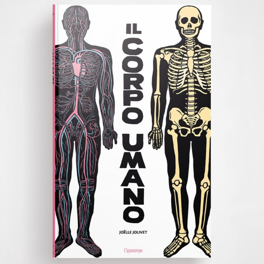 L'ippocampo Ragazzi Libro "il Corpo Umano"