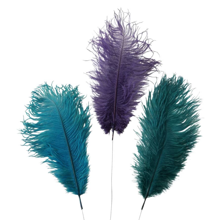 &Quirky Decorative Ostrich Feather : Green, Purple or Turquoise