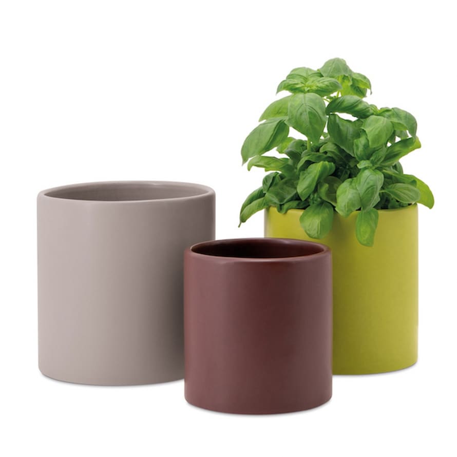Remember Siena Porcelain Plant Pots In Autumnal Colours Set Of 3