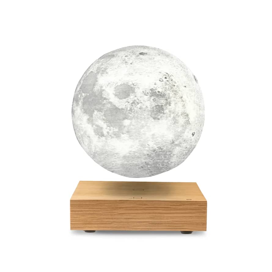 Gingko White Ash Smart Moon Lamp