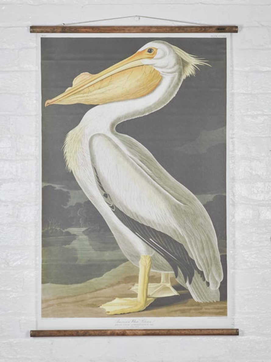 Erstwhile Wall Hanging American Pelican