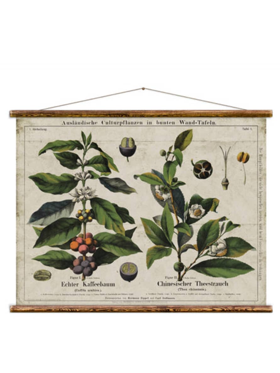 Erstwhile Wall Hanging Coffee And Tea